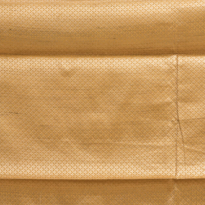 Minakari Muga Silk Saree